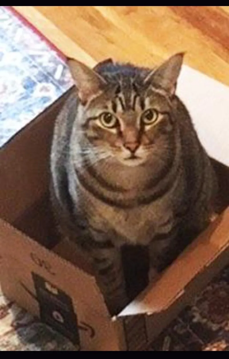 Sweet Seven thumbnail 3