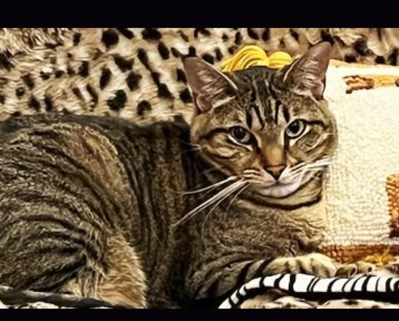 Sweet Seven thumbnail 4