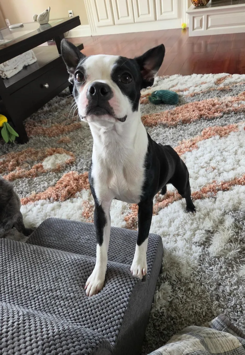 Lola in NE thumbnail 4