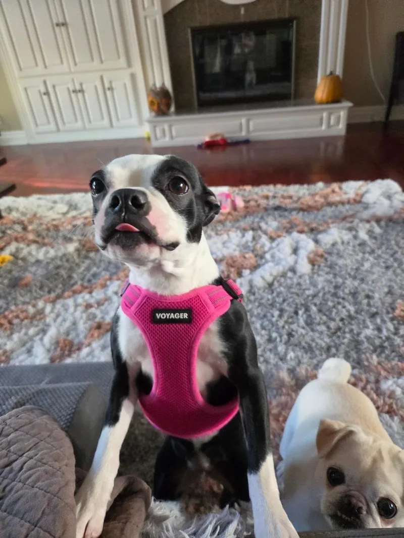 Lola in NE thumbnail 5