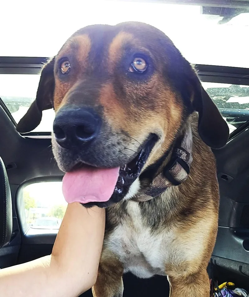 Steve  Handsome  thumbnail 2