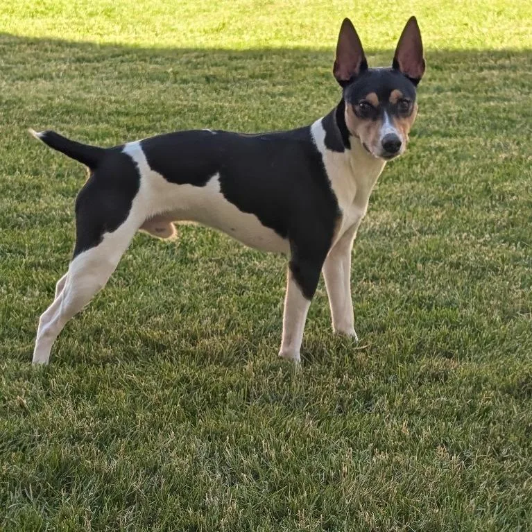 Jax