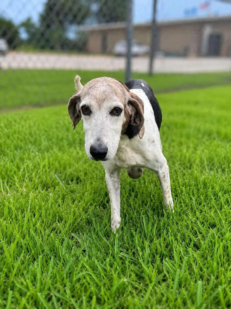 Molly