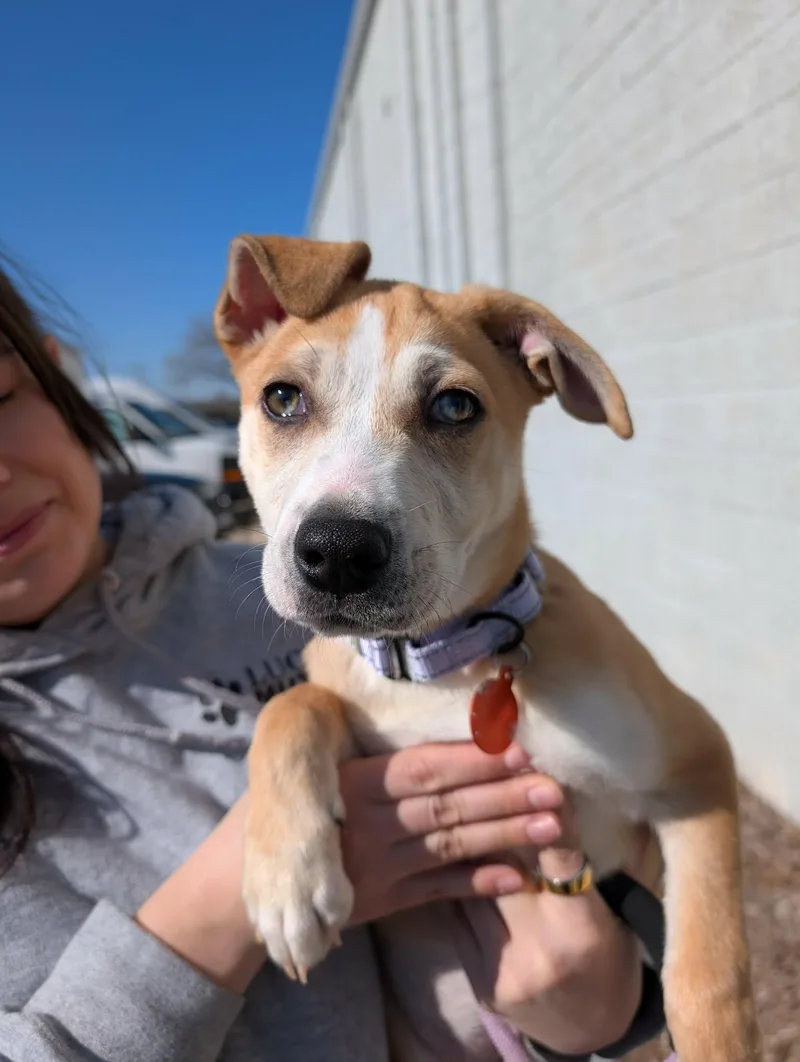 Janet   $ thumbnail 2