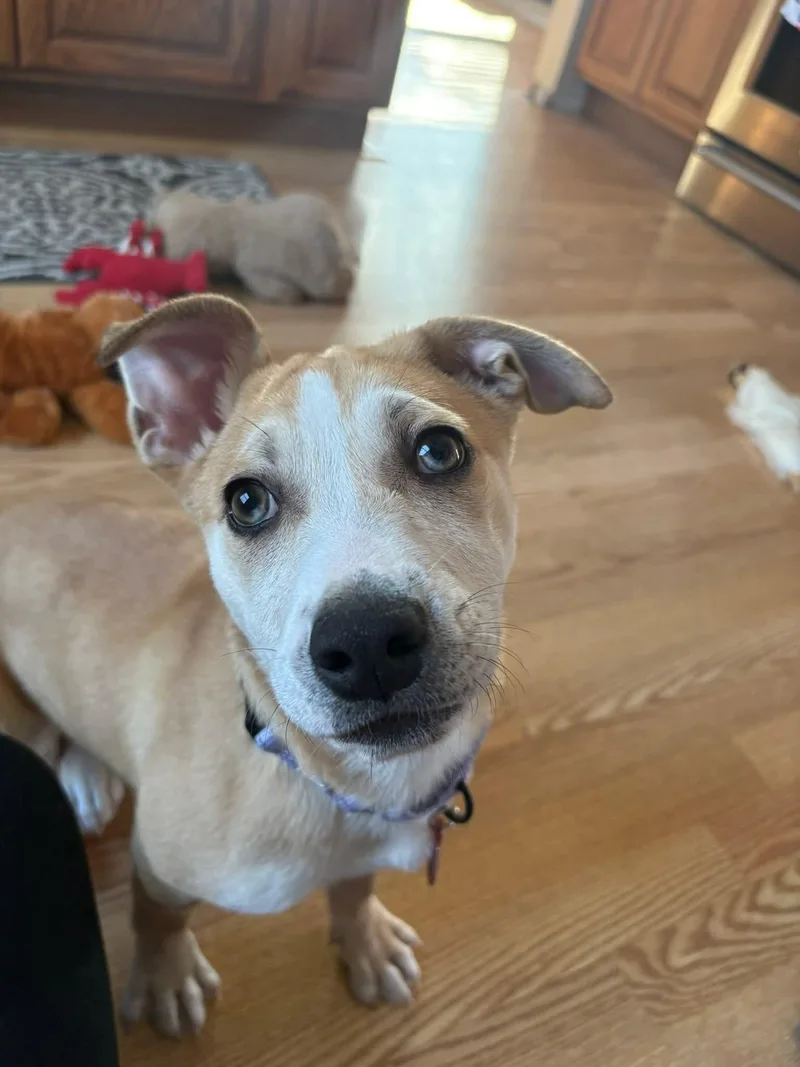 Janet   $ thumbnail 3