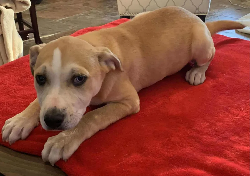 Janet   $ thumbnail 4