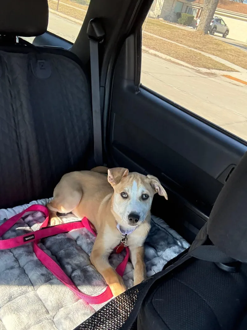 Janet   $ thumbnail 5