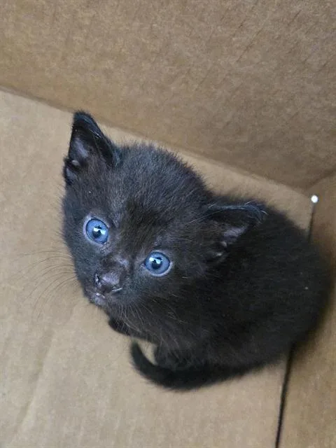 Maybeline thumbnail 2