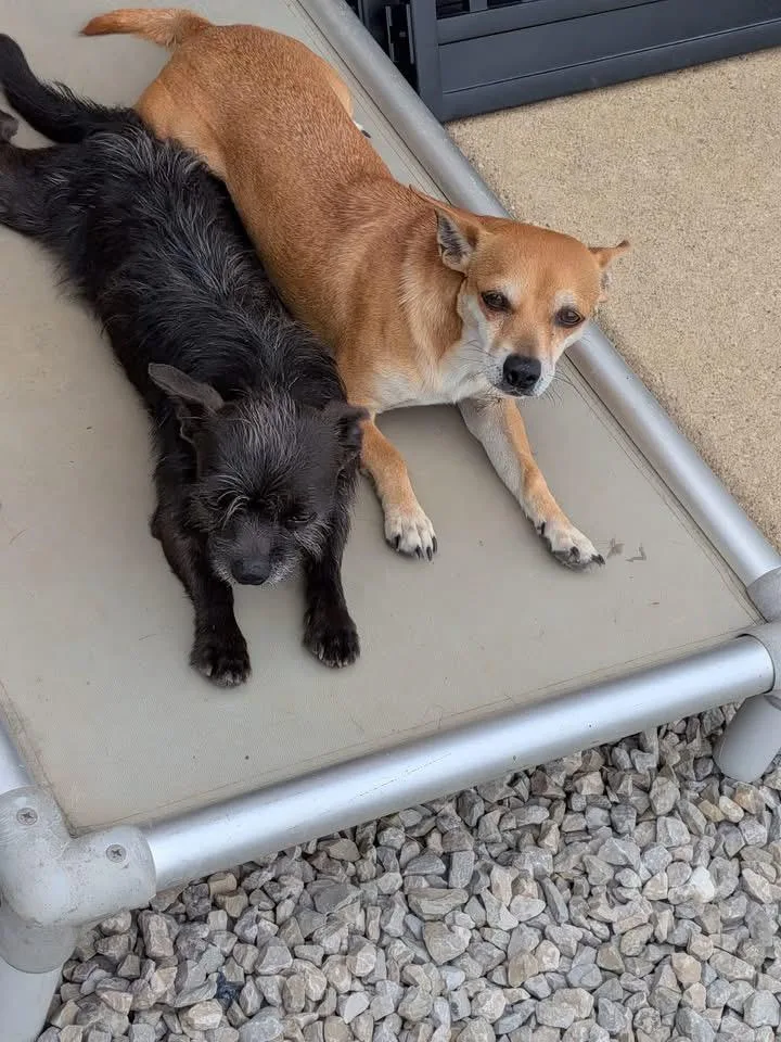 Rachel and Joe