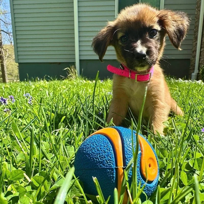 Sunny☀️  Pure Sunshine thumbnail 3