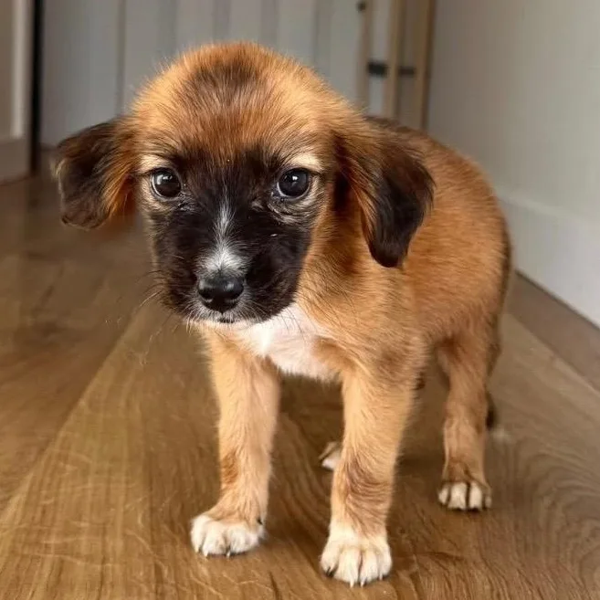 Sunny☀️  Pure Sunshine thumbnail 5