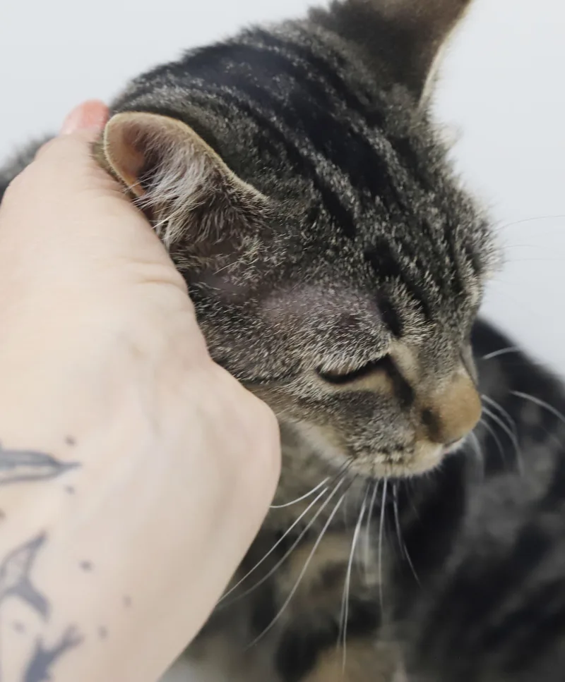 Bunny is THE best thumbnail 5