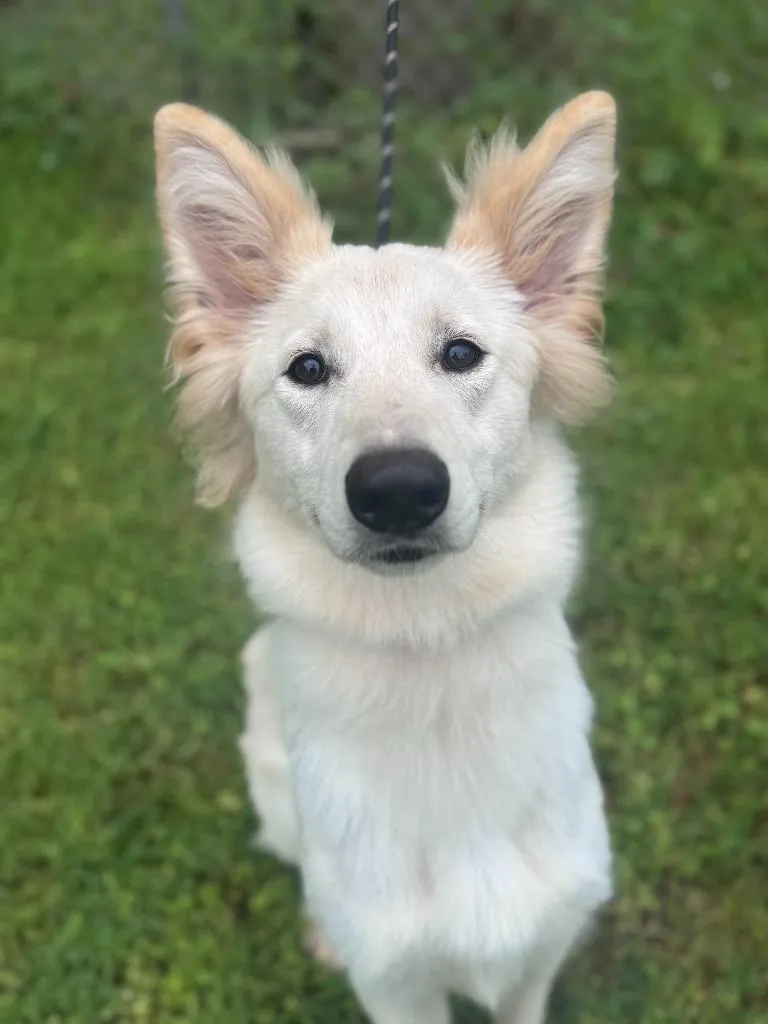 Ellie thumbnail 2