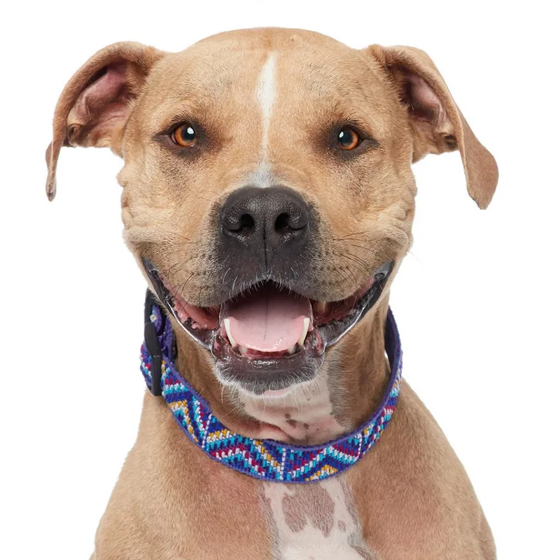 Charizard thumbnail 4