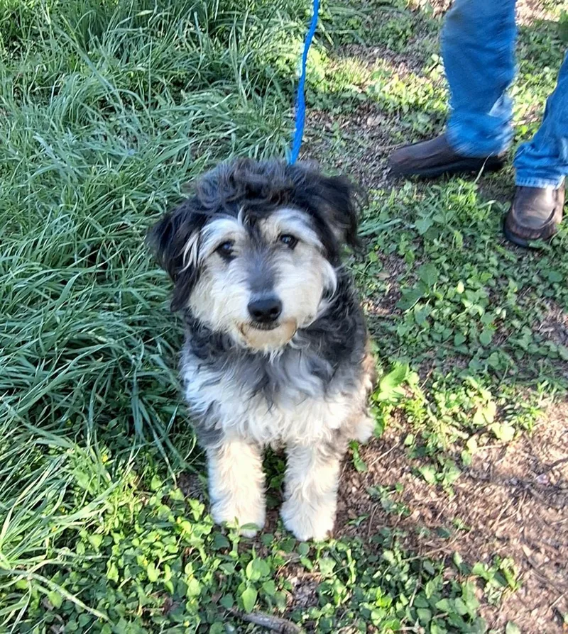 Heddie Mvt thumbnail 2