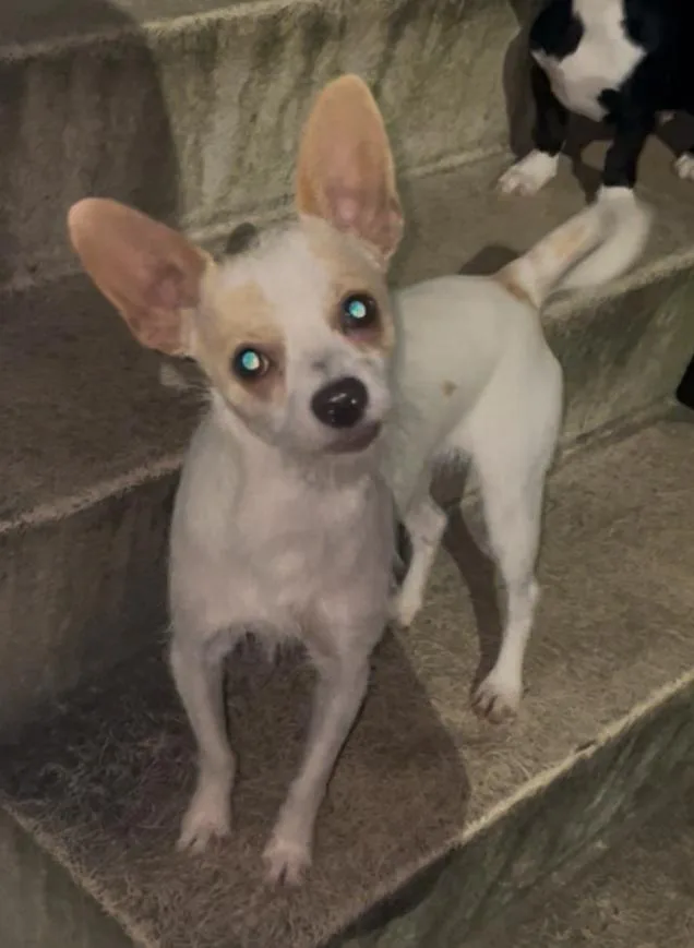 Chance In Texarkana Tx thumbnail 3