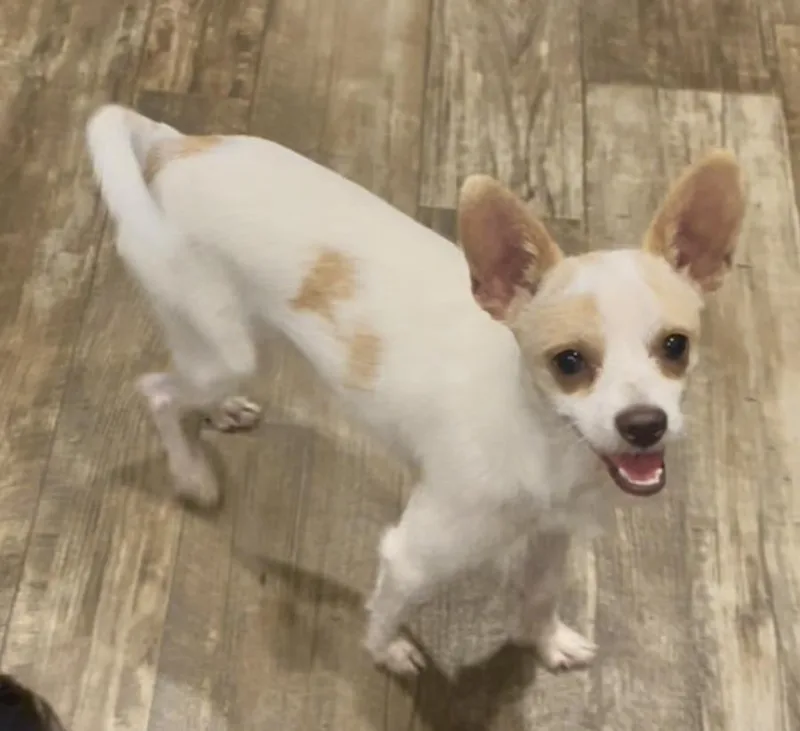 Chance In Texarkana Tx thumbnail 4