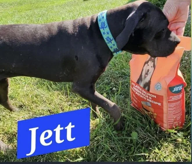 Jett