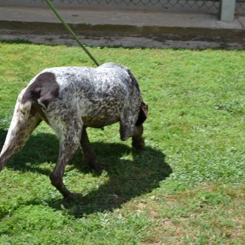 Freckles Fran thumbnail 2