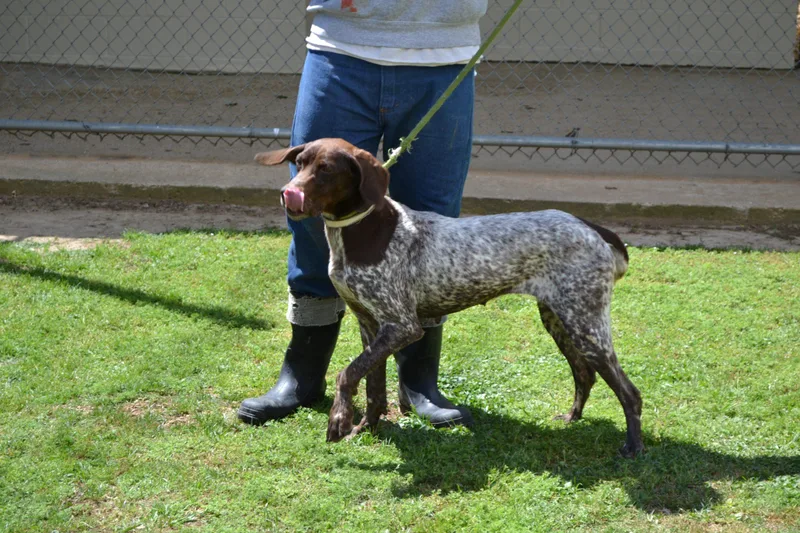 Freckles Fran thumbnail 3