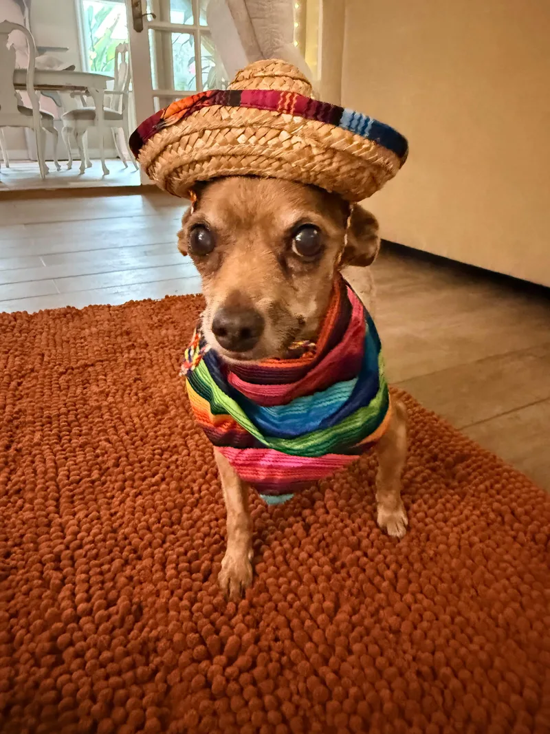 Elmer