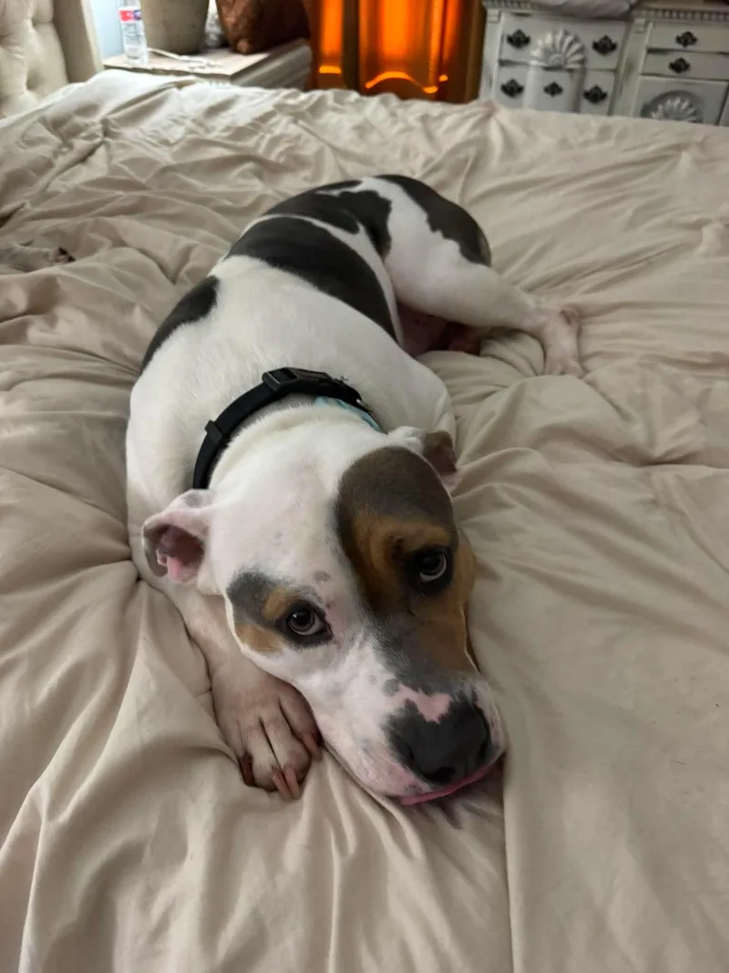 Sam & Izzy thumbnail 3