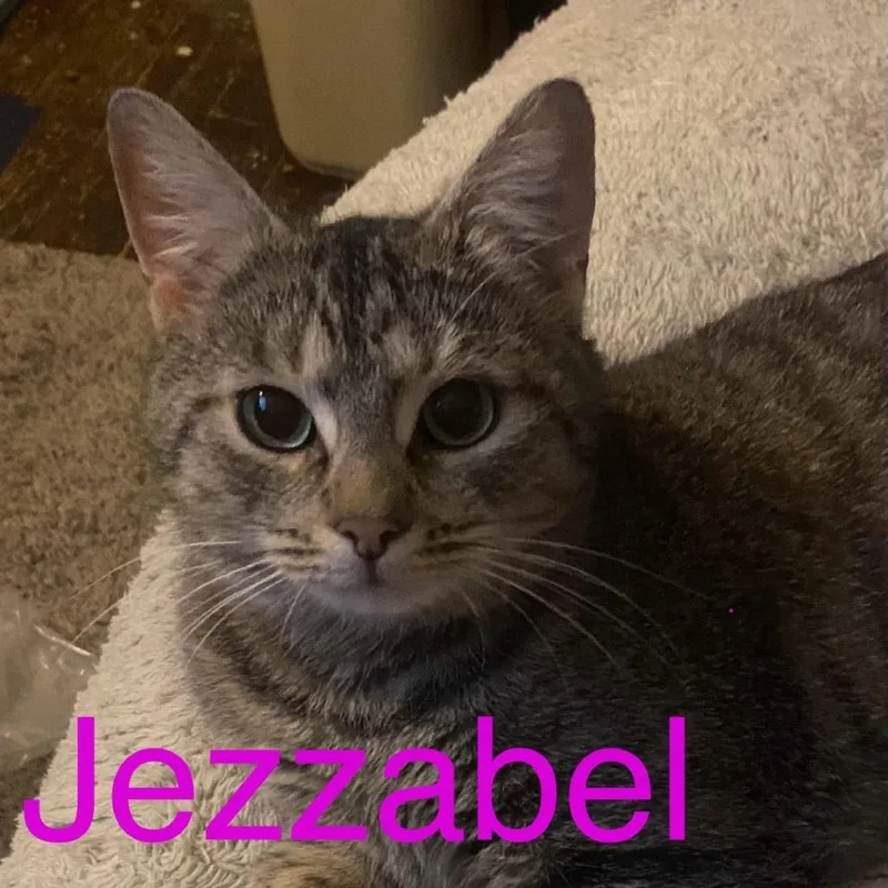 Jezebel