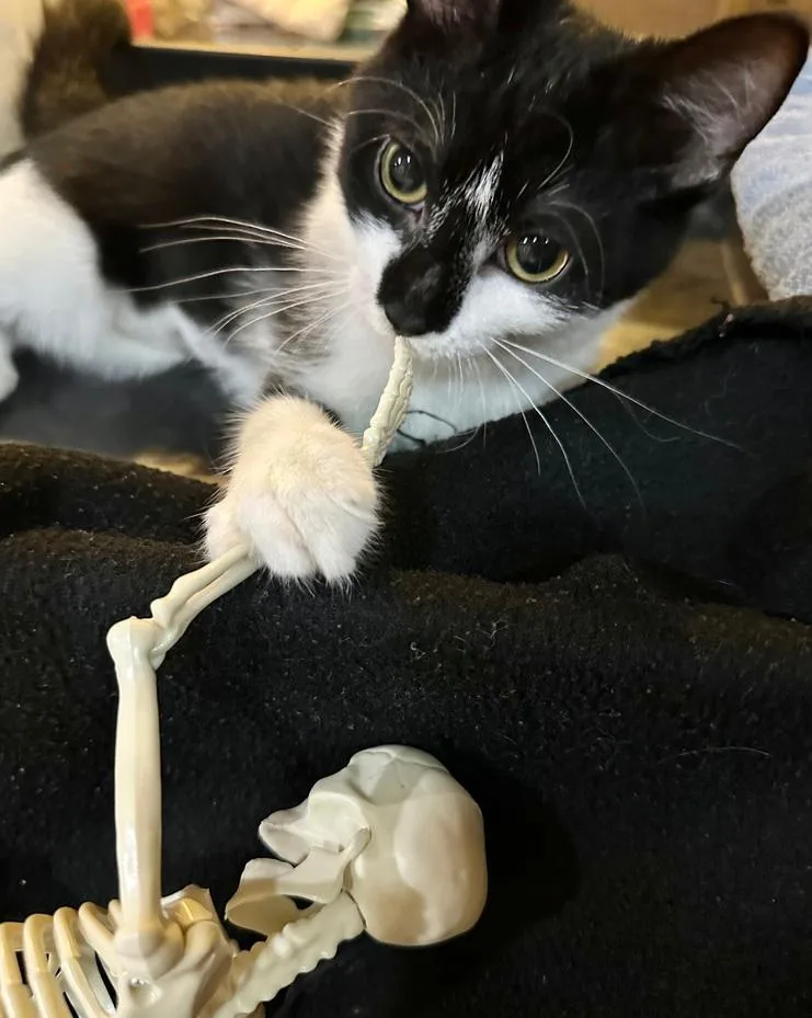 Porsche thumbnail 3