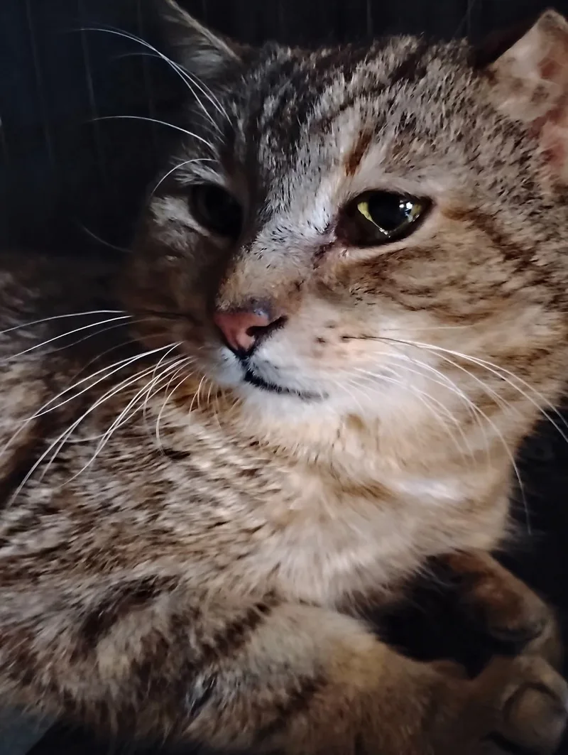 Grandpa Ken thumbnail 2