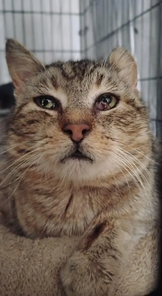 Grandpa Ken thumbnail 3