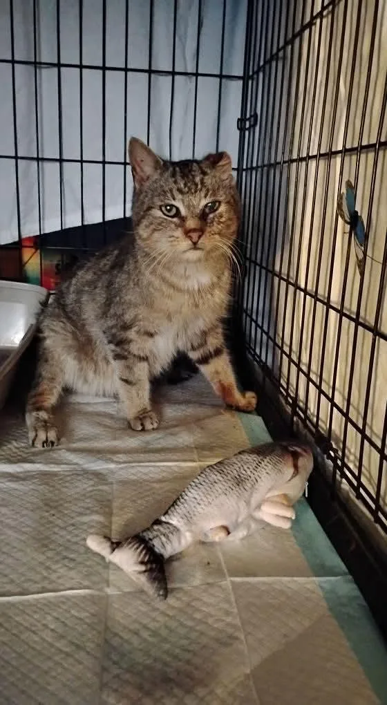 Grandpa Ken thumbnail 4