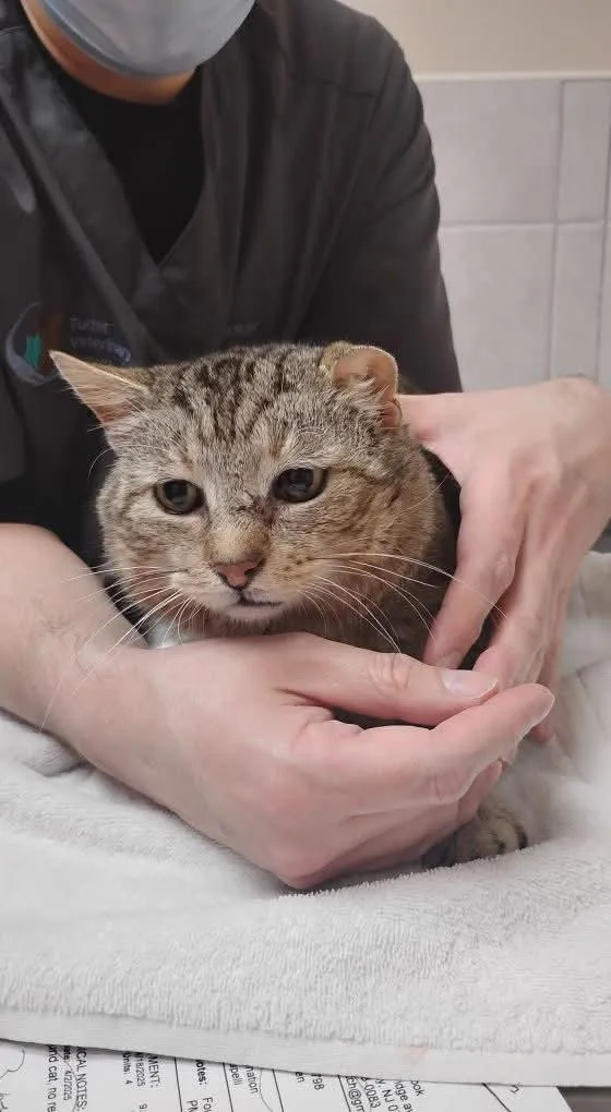 Grandpa Ken thumbnail 6