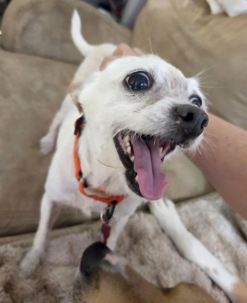 Jerry thumbnail 2