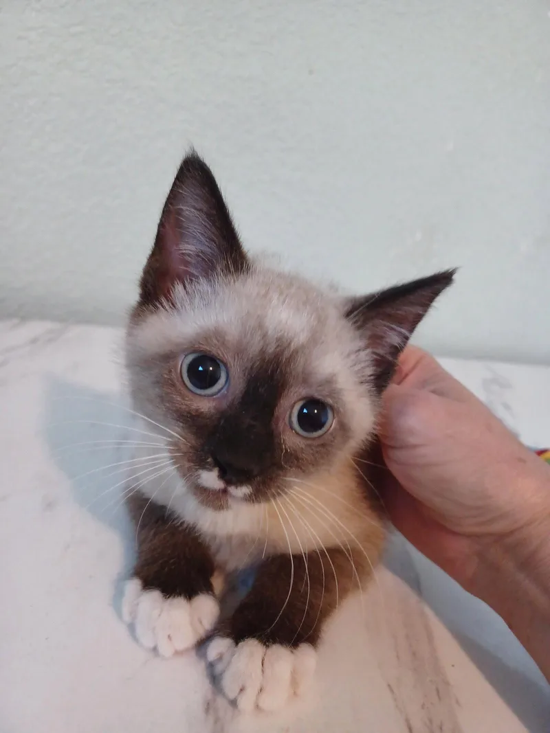 Nimbus