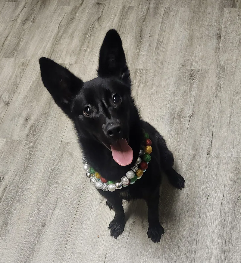 Milky Way thumbnail 2