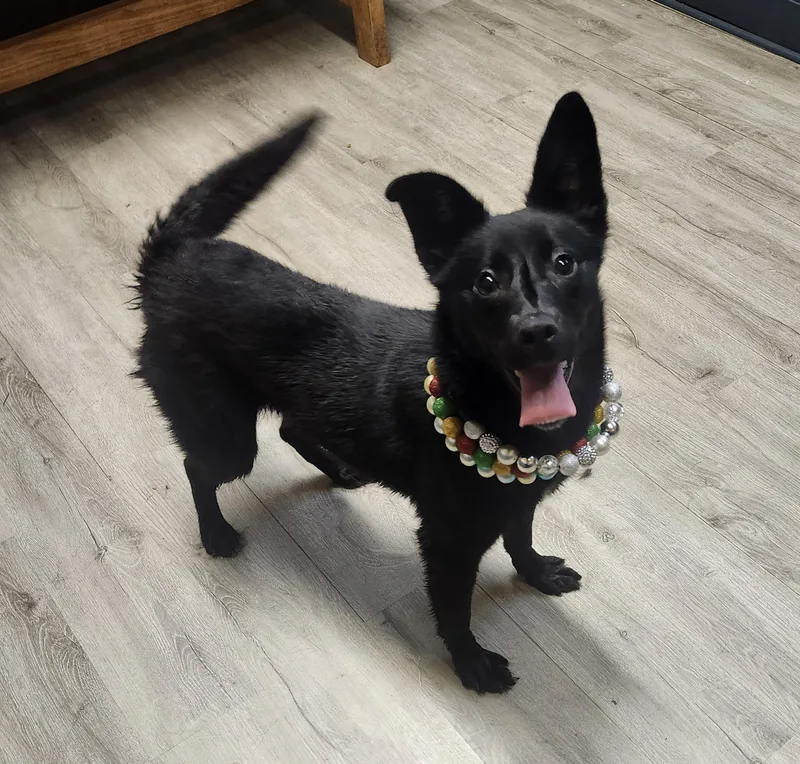 Milky Way thumbnail 3