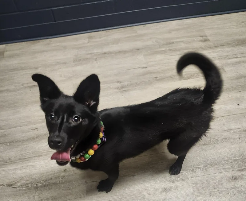 Milky Way thumbnail 4