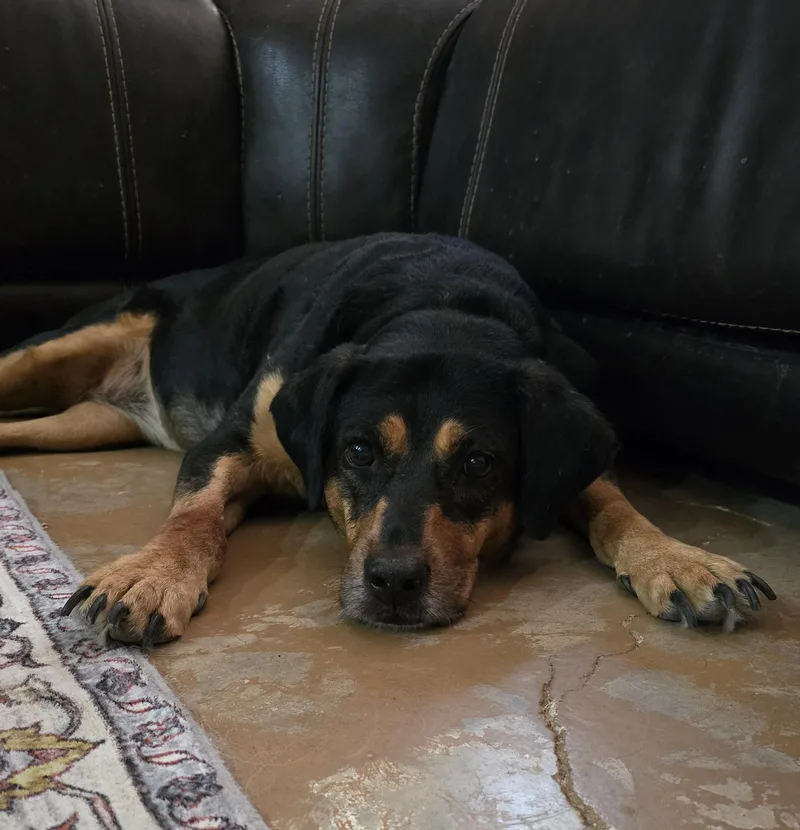 Maggie