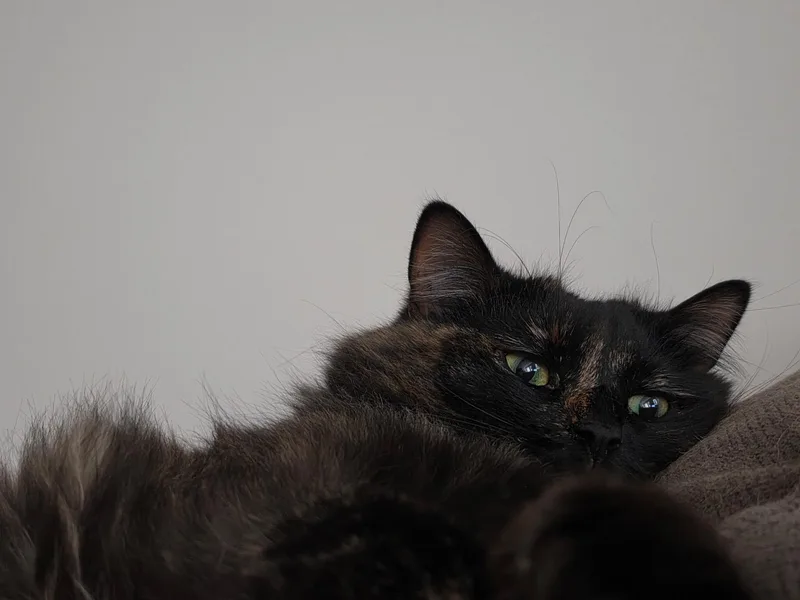Chloe thumbnail 5