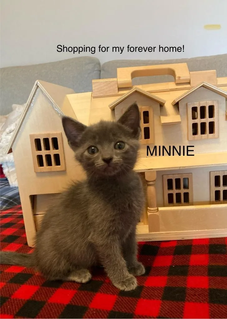 Minnie thumbnail 2