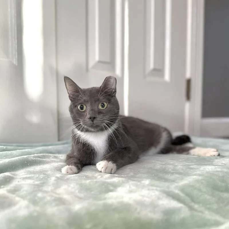 Pistachio thumbnail 2