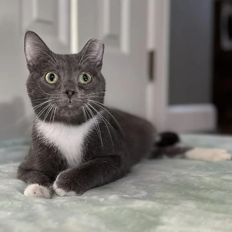 Pistachio thumbnail 3