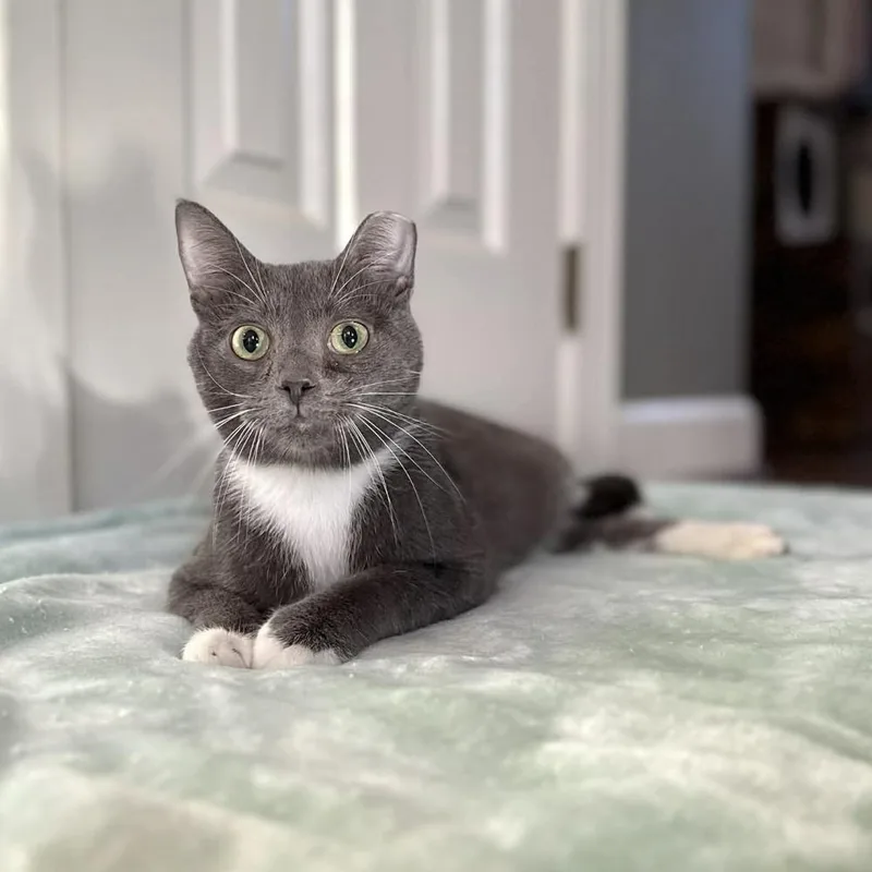 Pistachio thumbnail 5