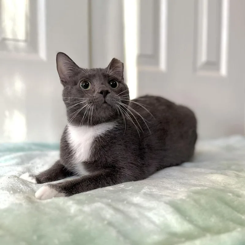 Pistachio thumbnail 6