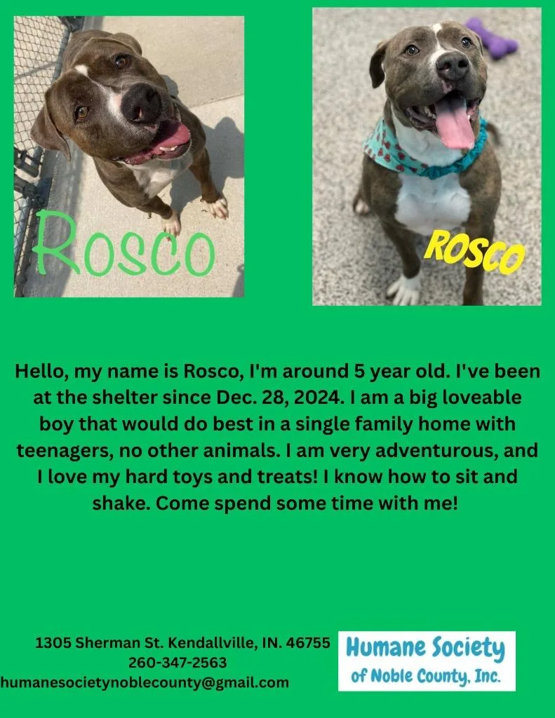 Rosco thumbnail 4