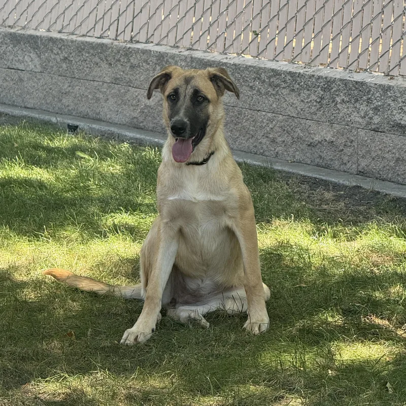 Winnie