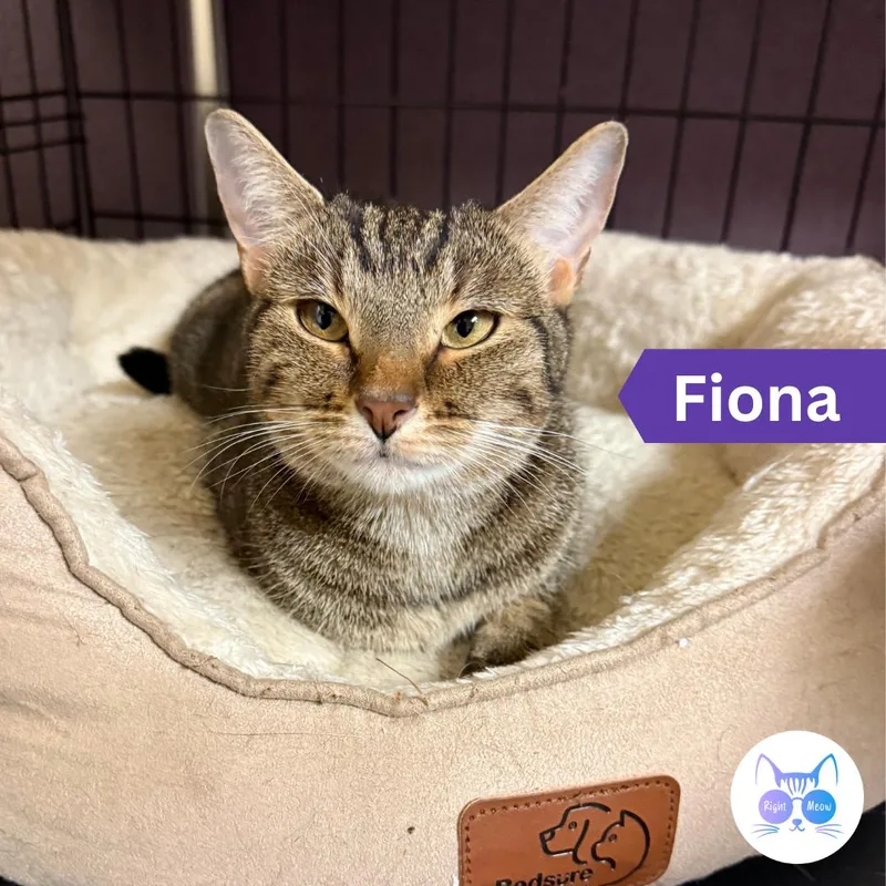 Fiona thumbnail 2