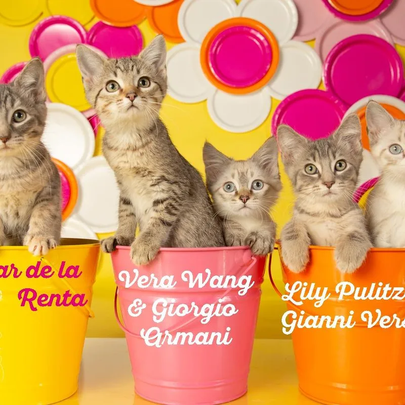 Giorgio Armani thumbnail 3