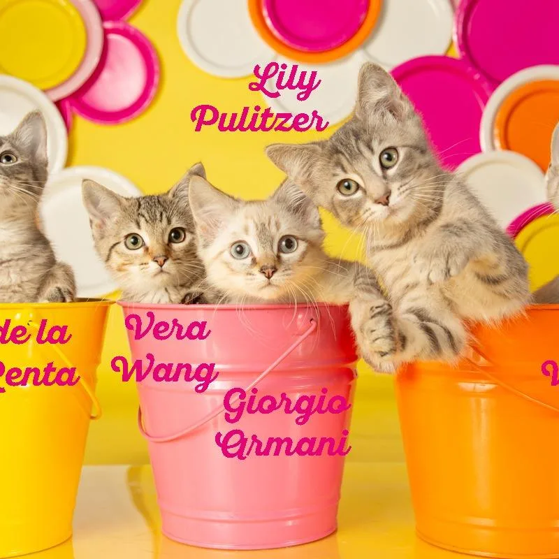 Giorgio Armani thumbnail 4