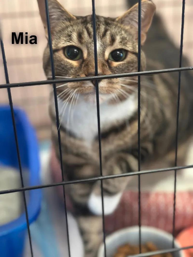 Mia thumbnail 2